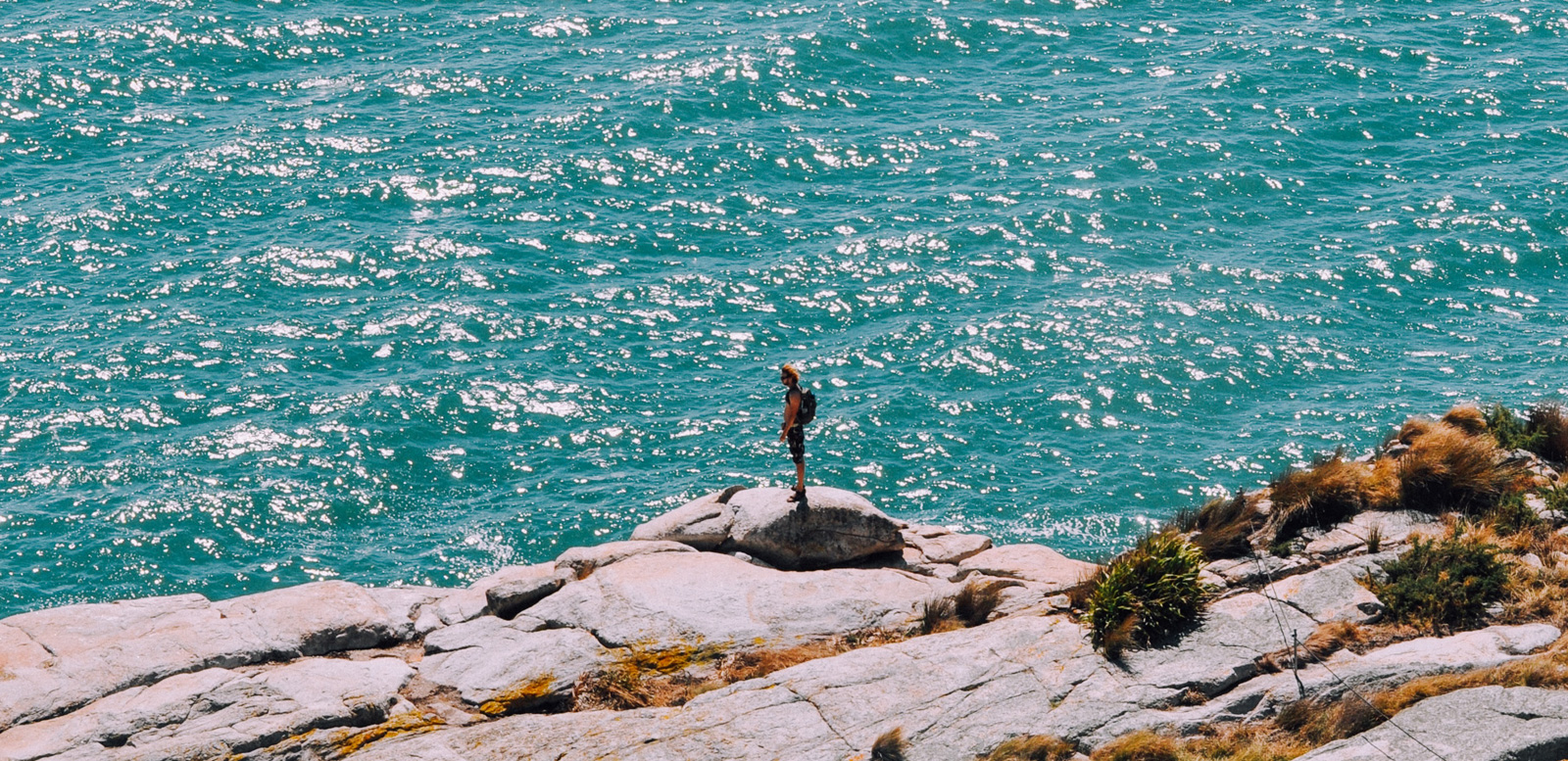 Grown Ocean